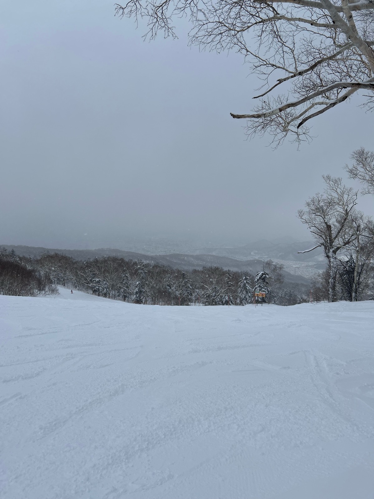 サッポロテイネスキー場