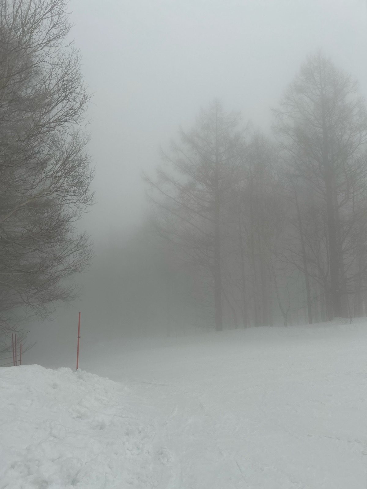 サッポロテイネ