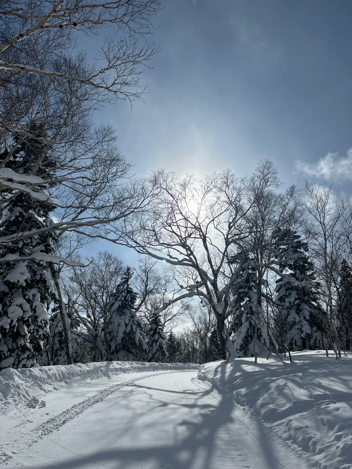 サッポロテイネ