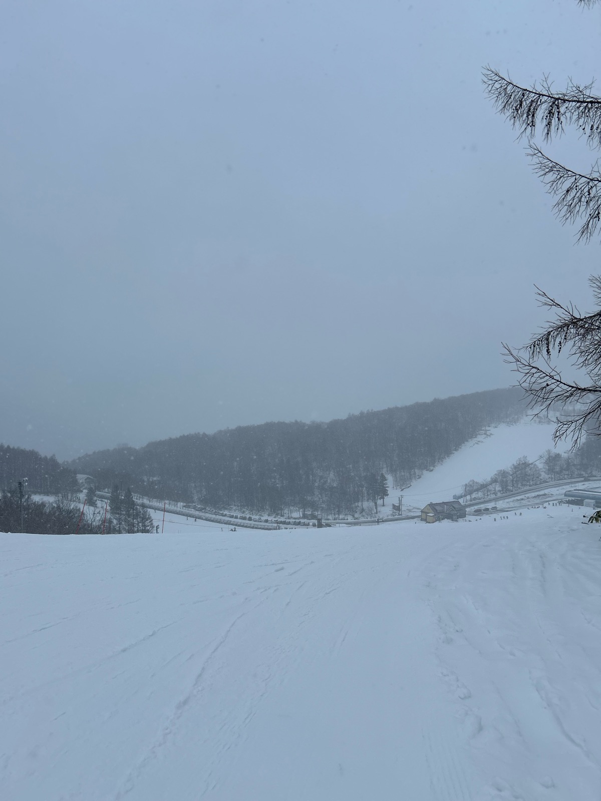サッポロテイネスキー場