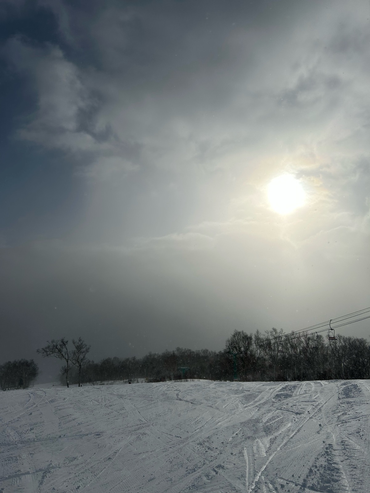 サッポロテイネ