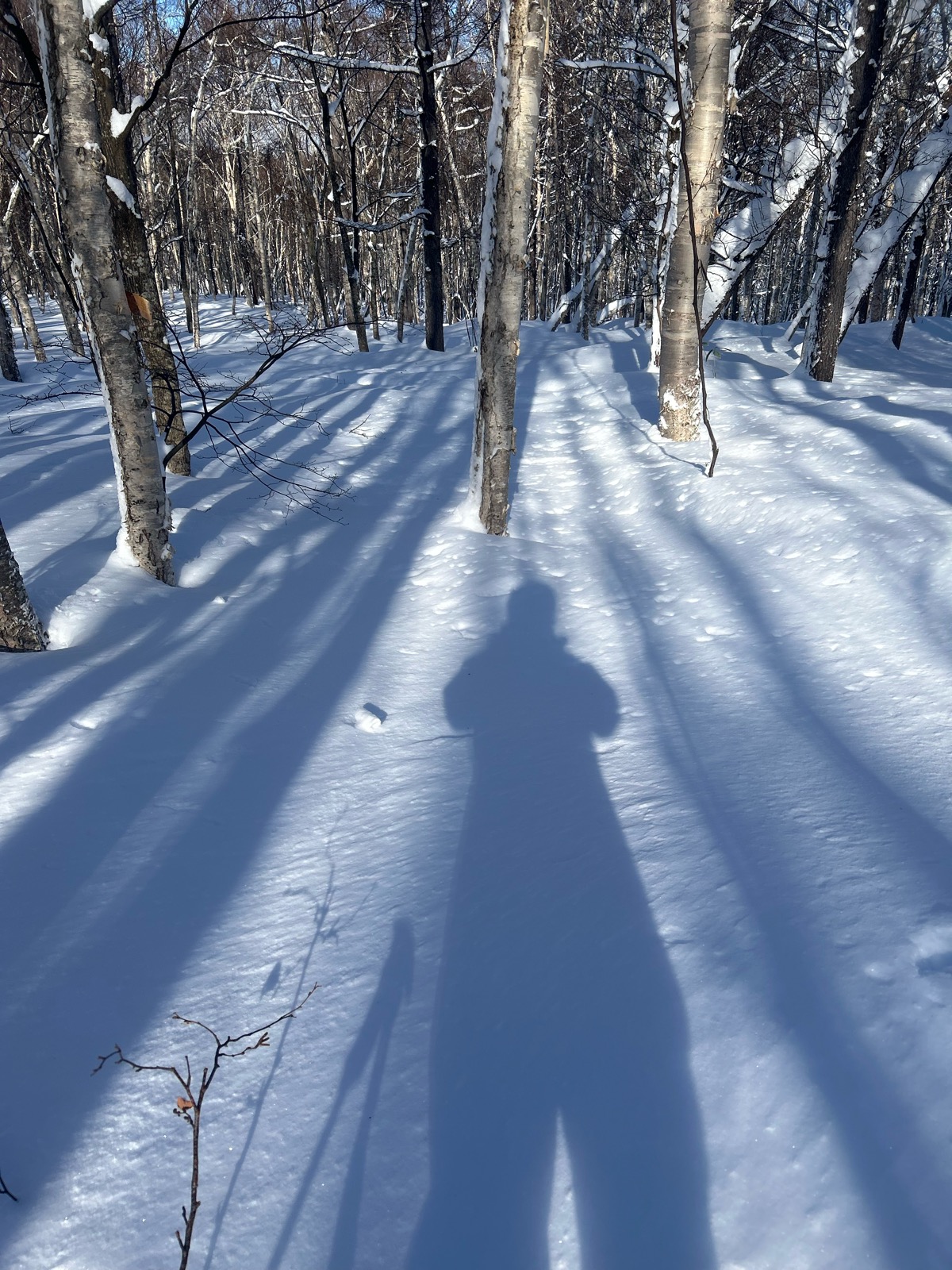 サッポロテイネスキー場