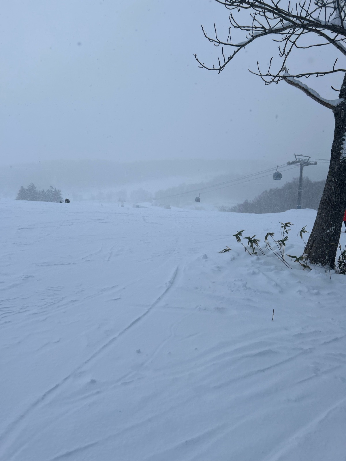 サッポロテイネ