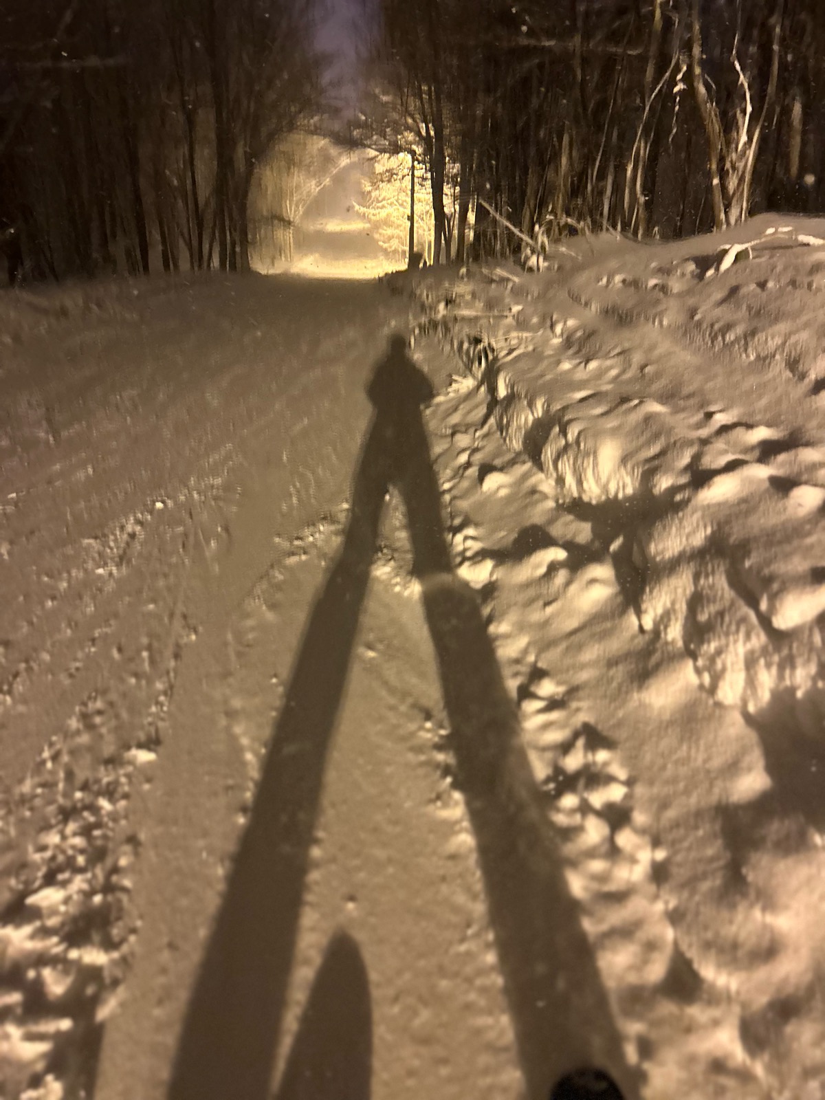 サッポロテイネ