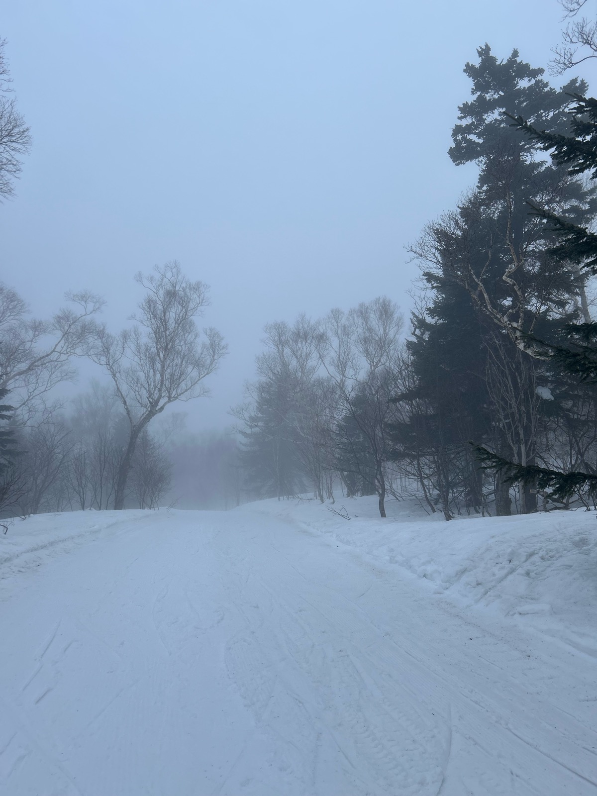 サッポロテイネスキー場