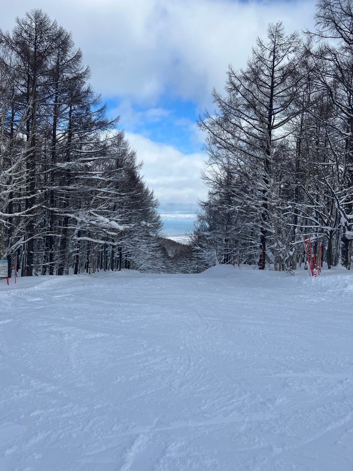 サッポロテイネ