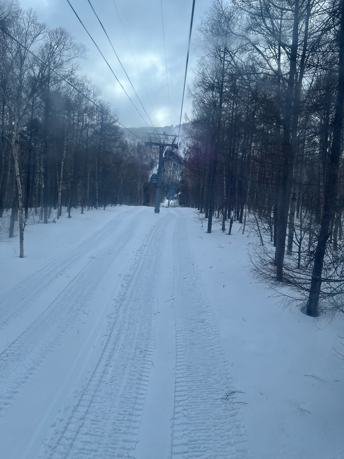 サッポロテイネ