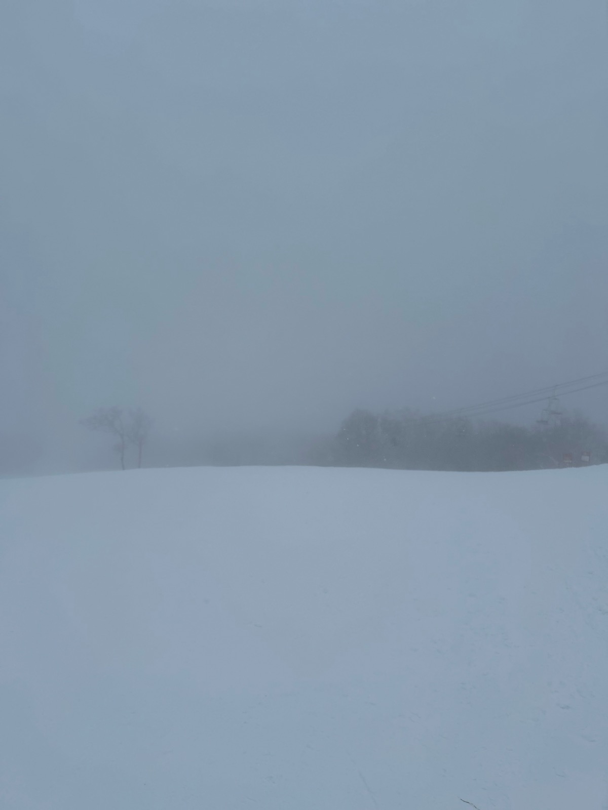 サッポロテイネ