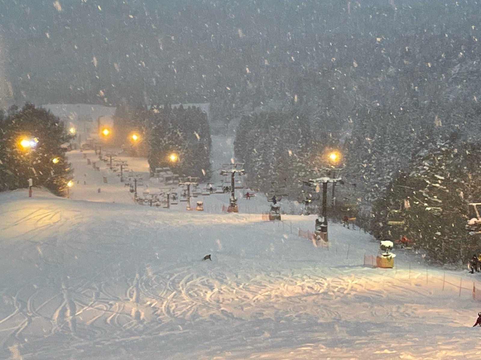 鷲ヶ岳スキー場