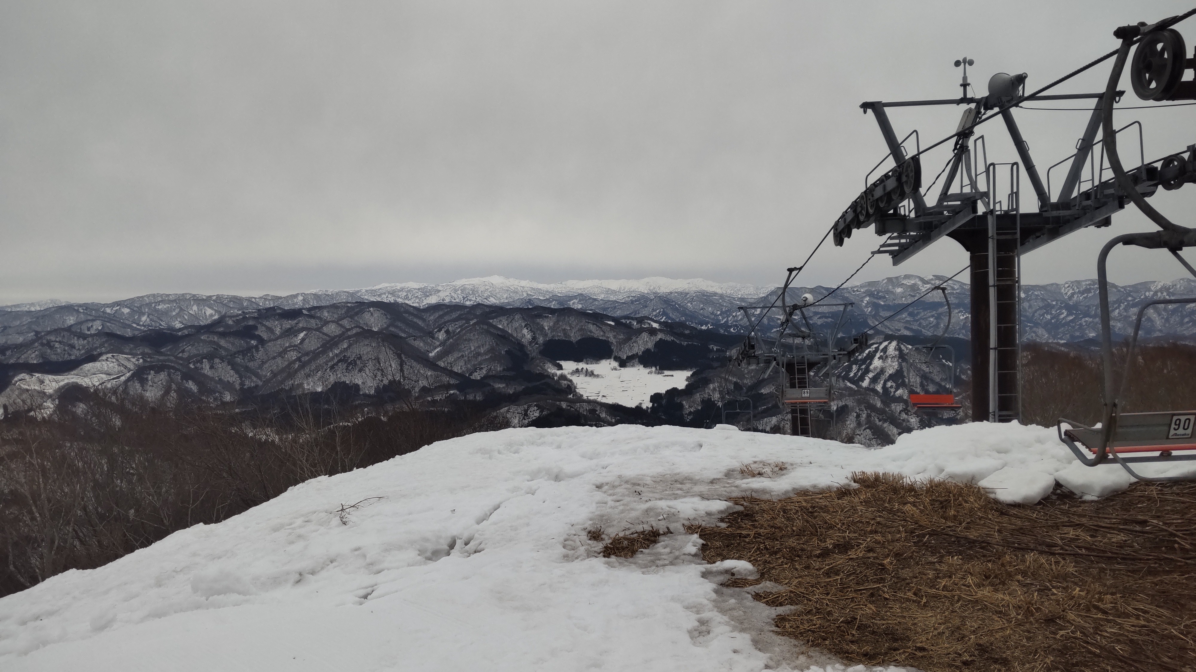 村上市営ぶどう
