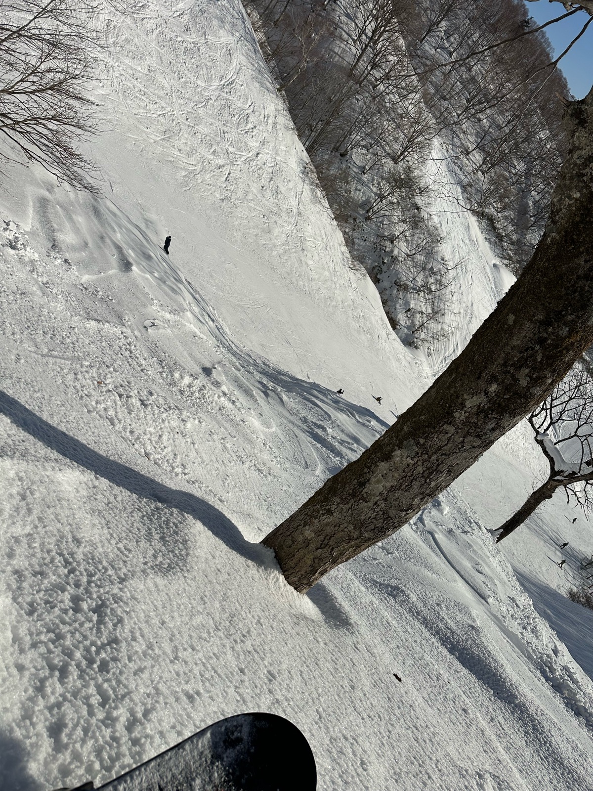 高鷲スノーパーク