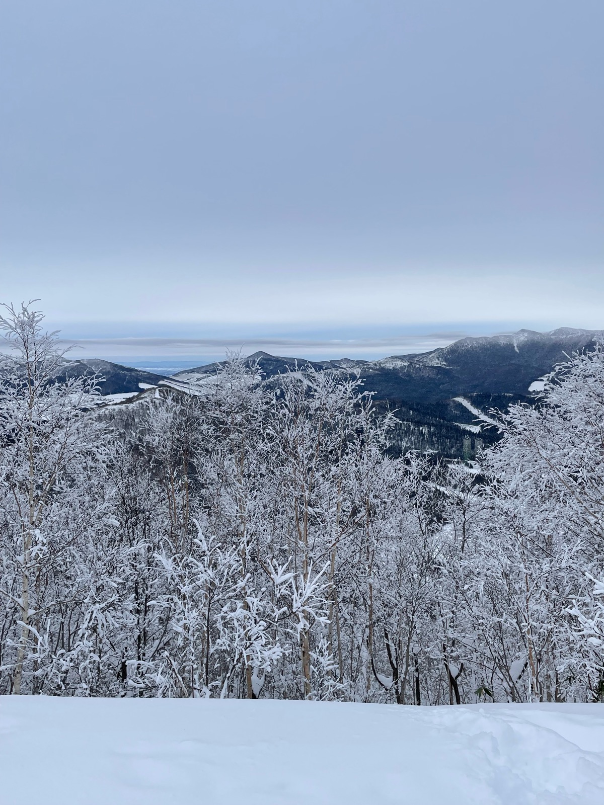 星野リゾート トマム