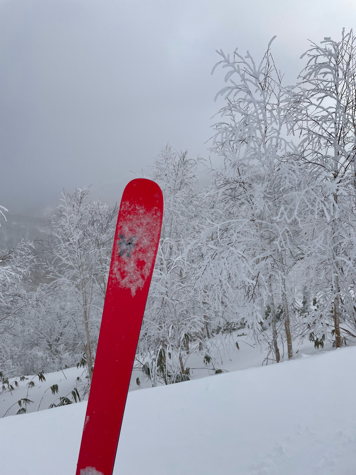 星野リゾート トマムスキー場