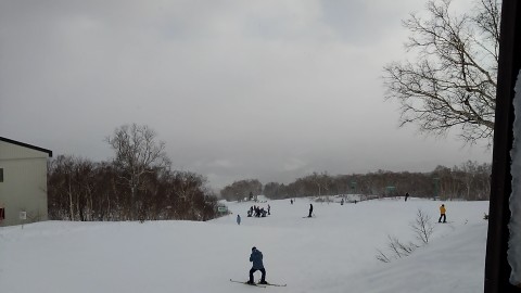 サッポロテイネ