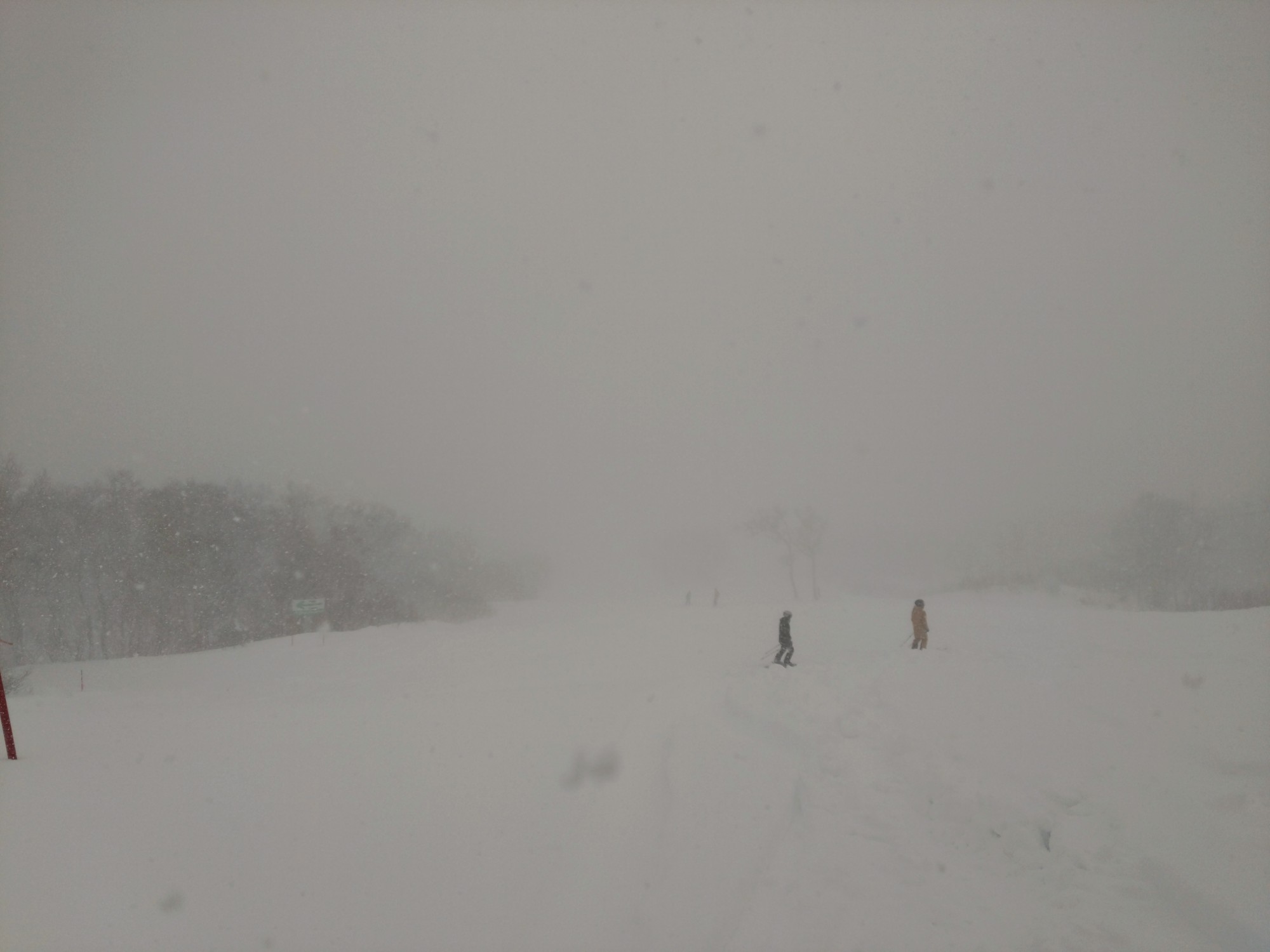 サッポロテイネ