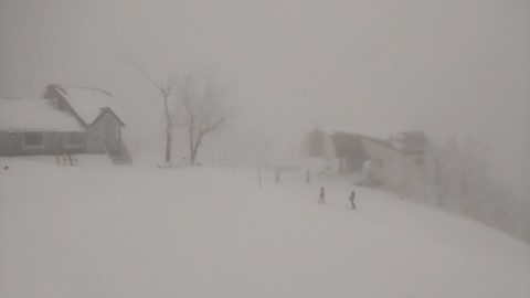 サッポロテイネ