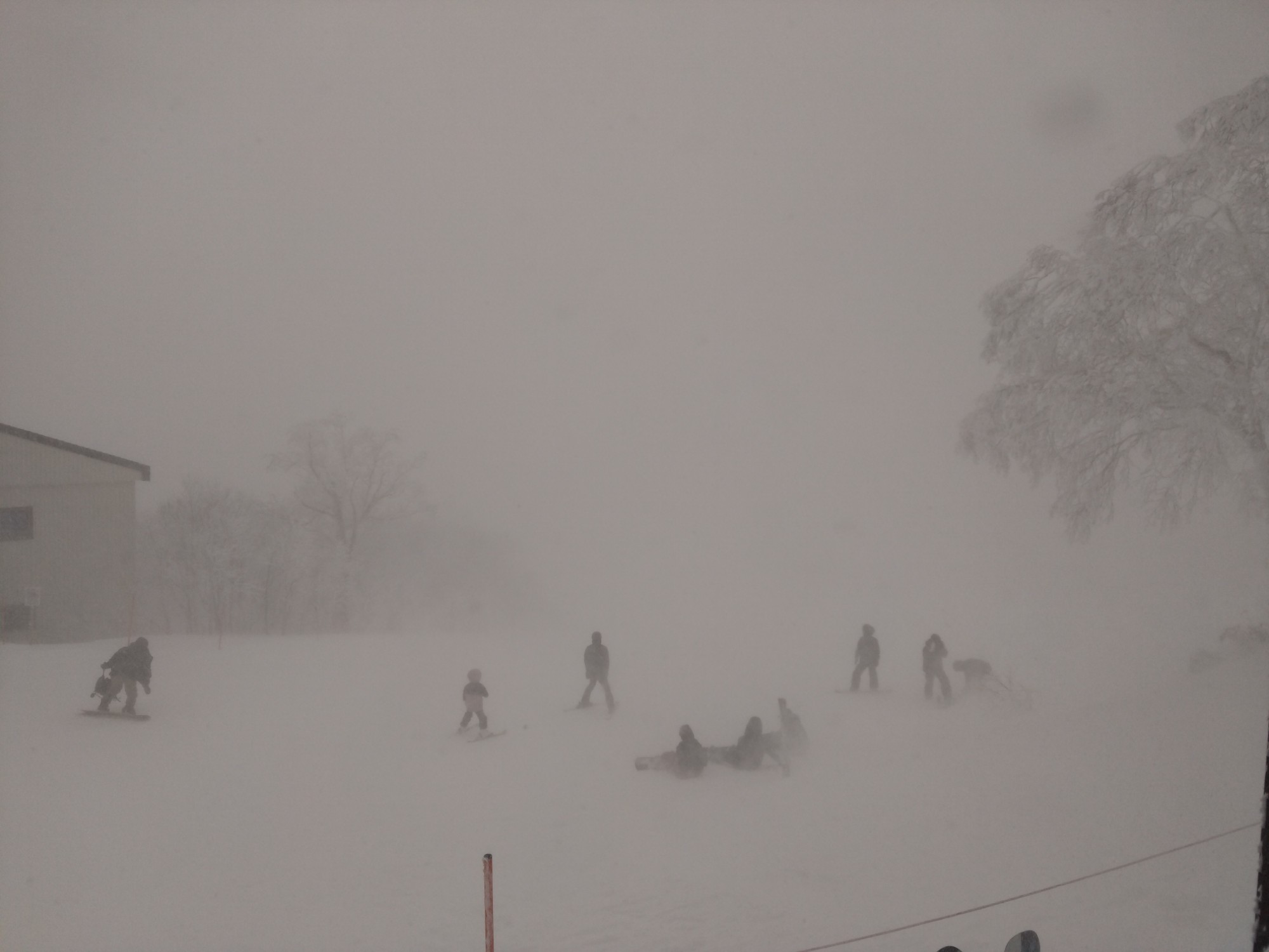 サッポロテイネ