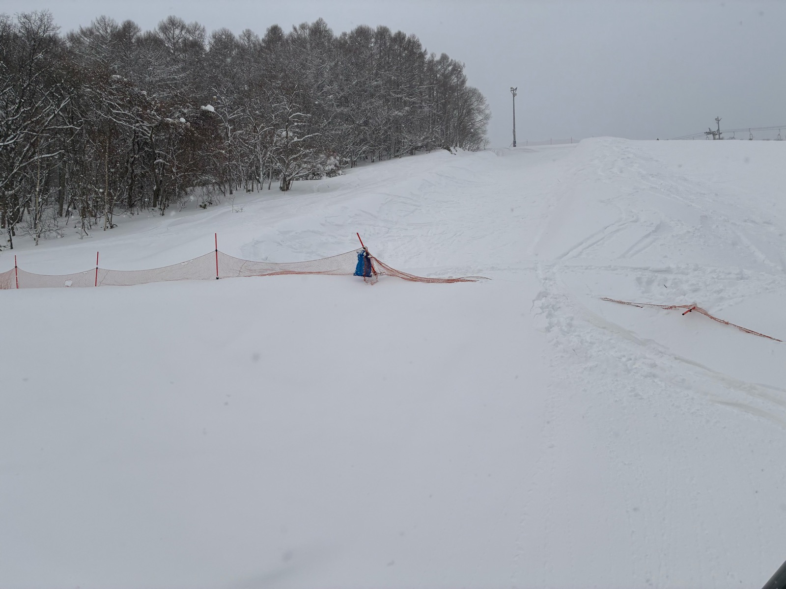 スノークルーズ・オーンズ