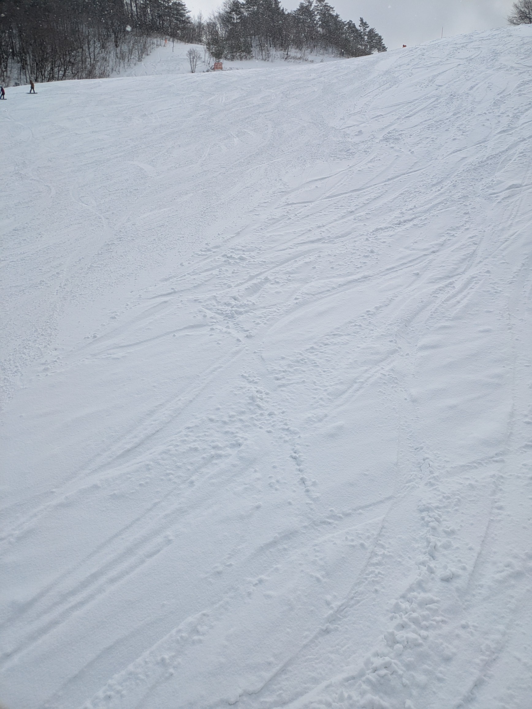 やまがた赤倉温泉スキー場