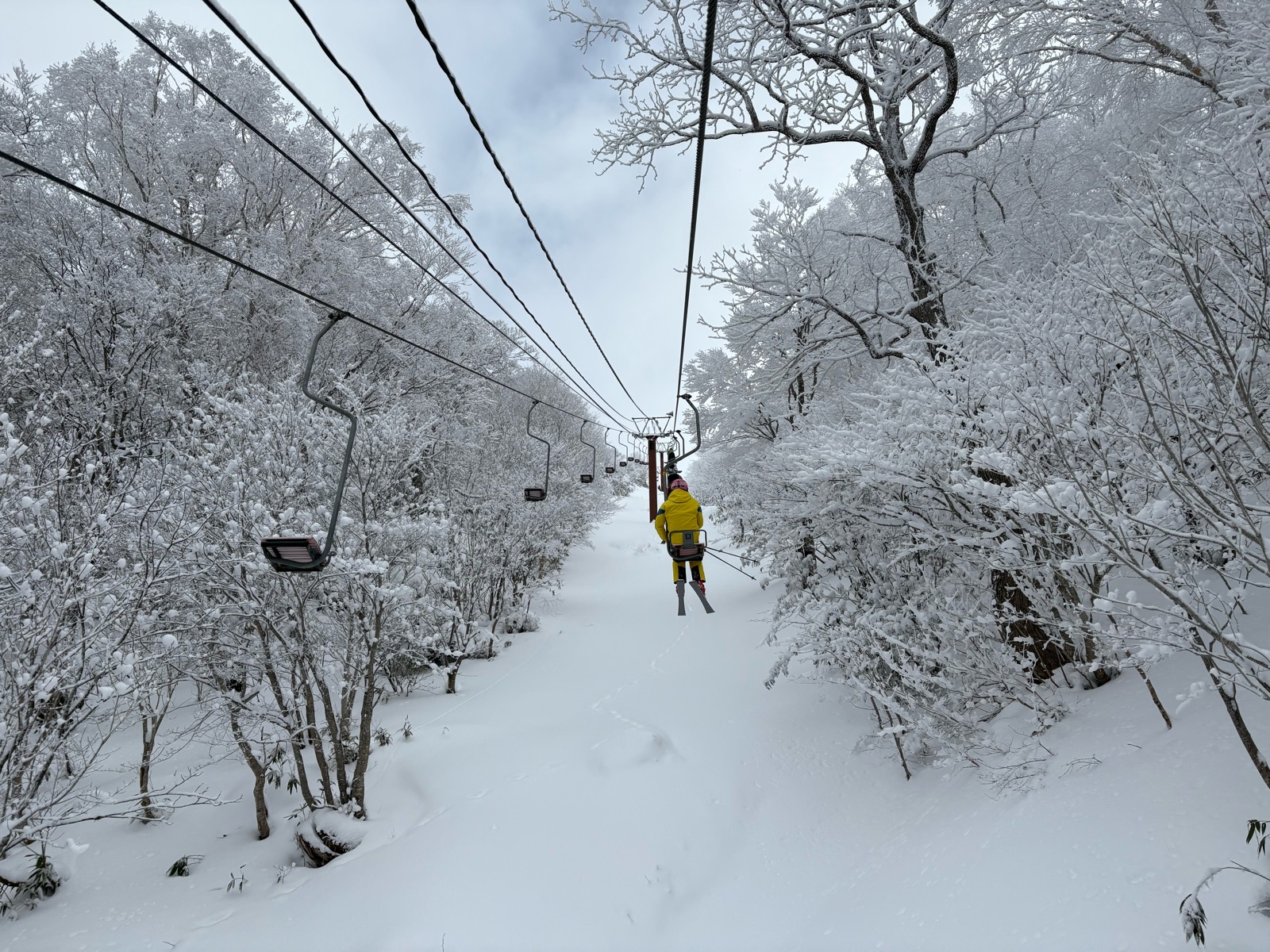 会津高原たかつえ