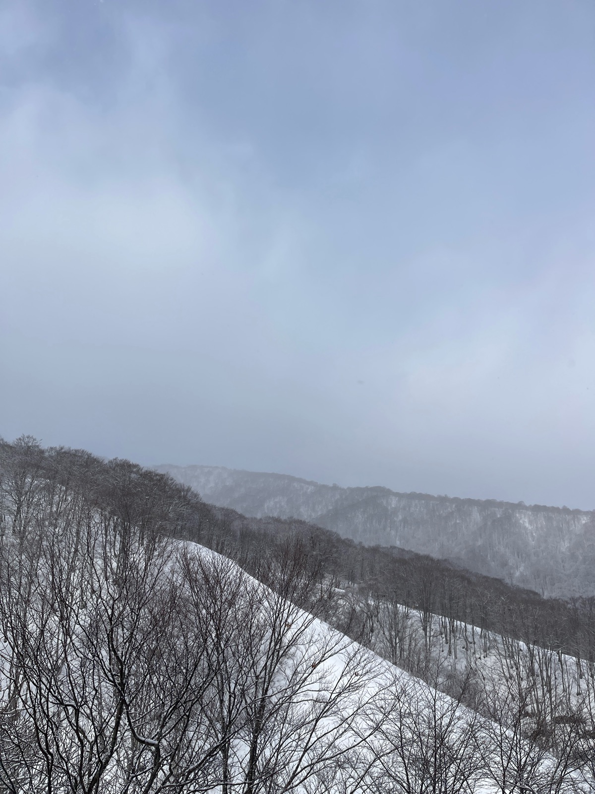 高鷲スノーパーク