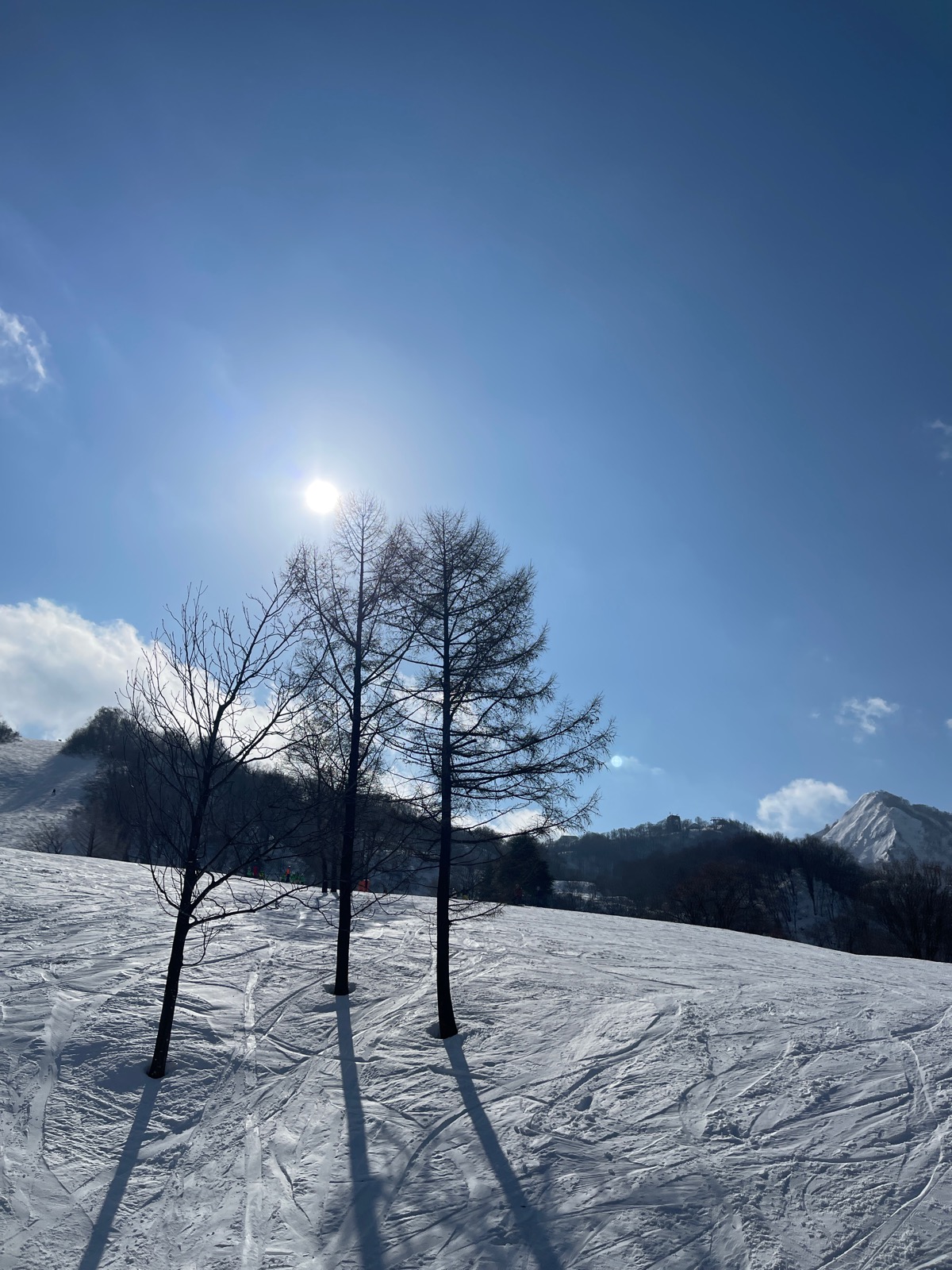 舞子スノーリゾート