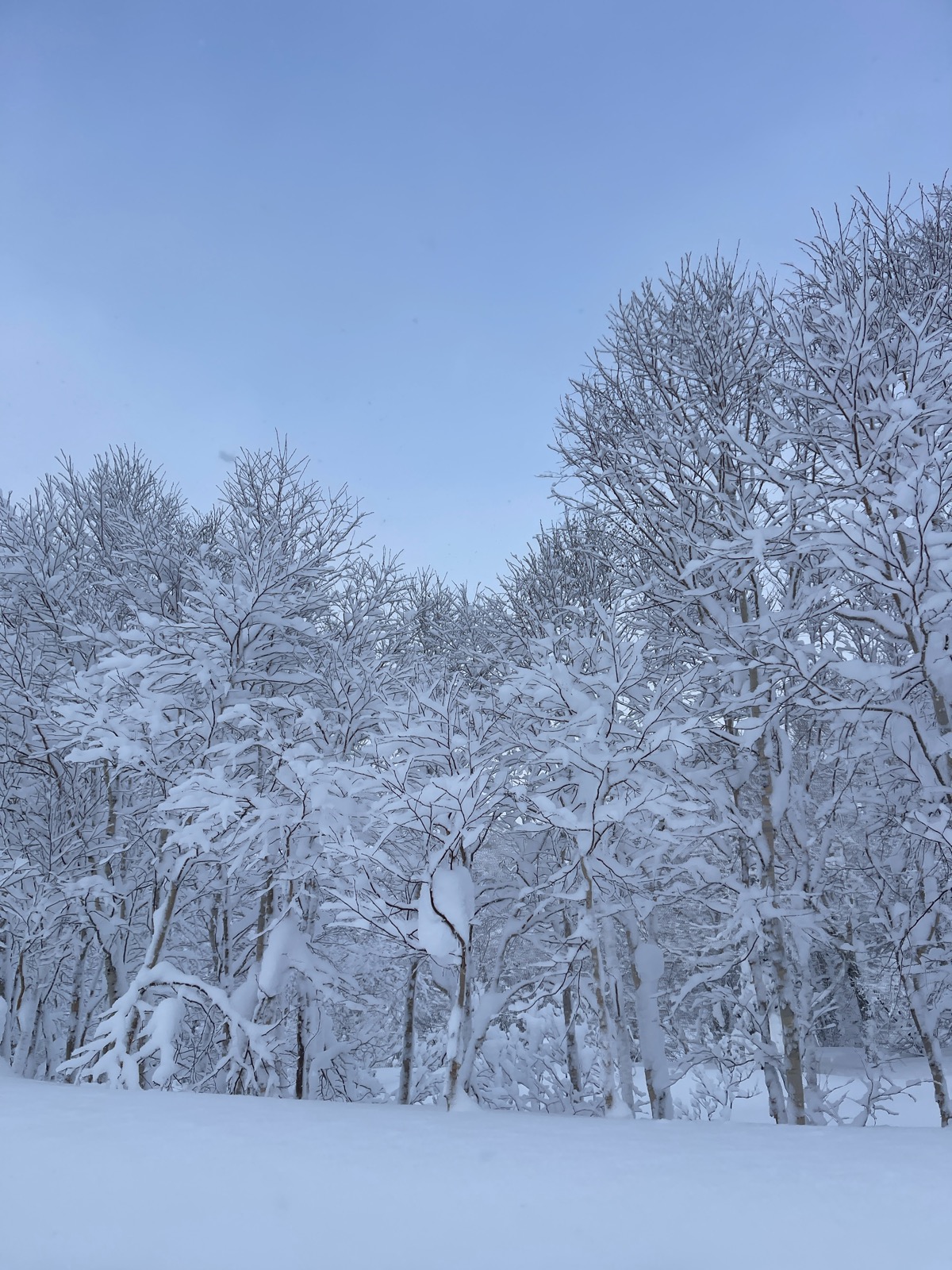 キロロスノーワールド