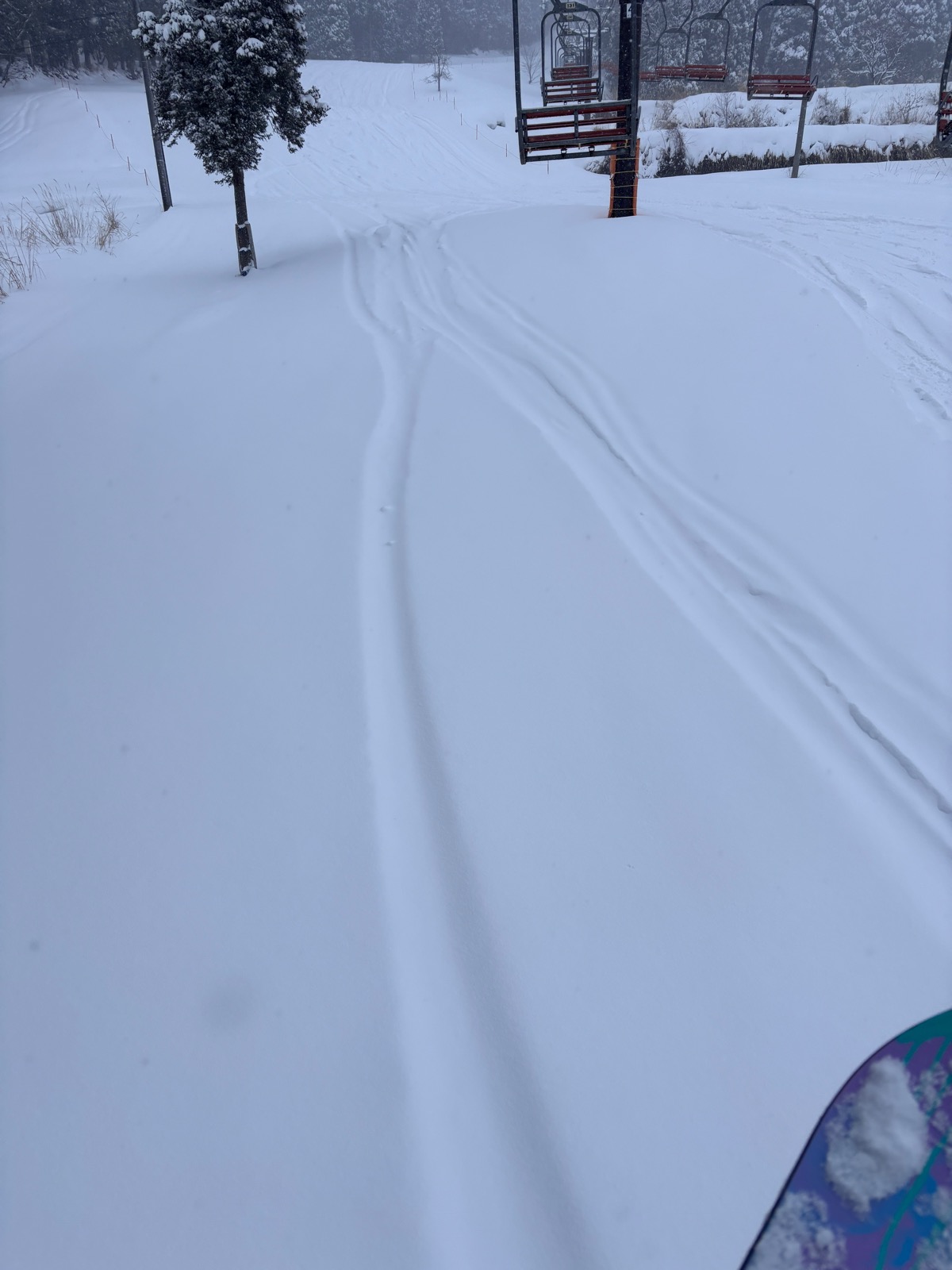 ハイパーボウル東鉢