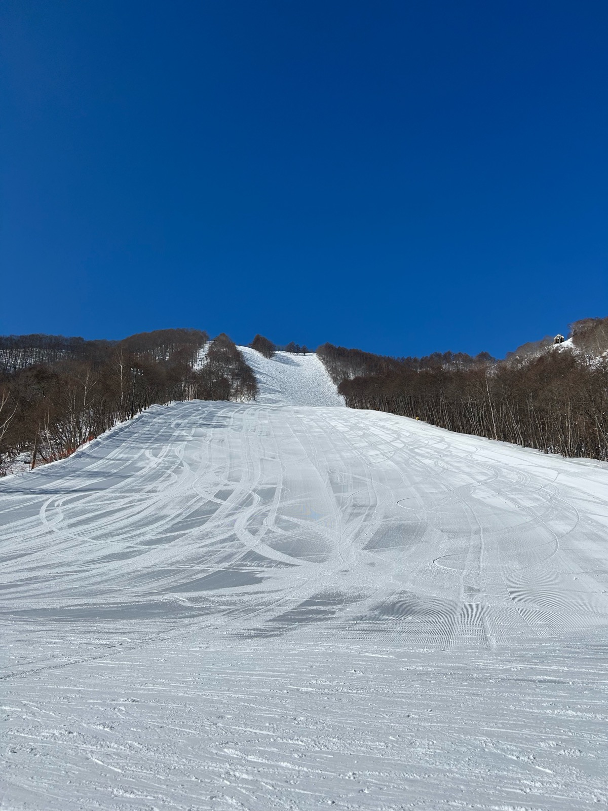 ホワイトワールド尾瀬岩鞍スキー場