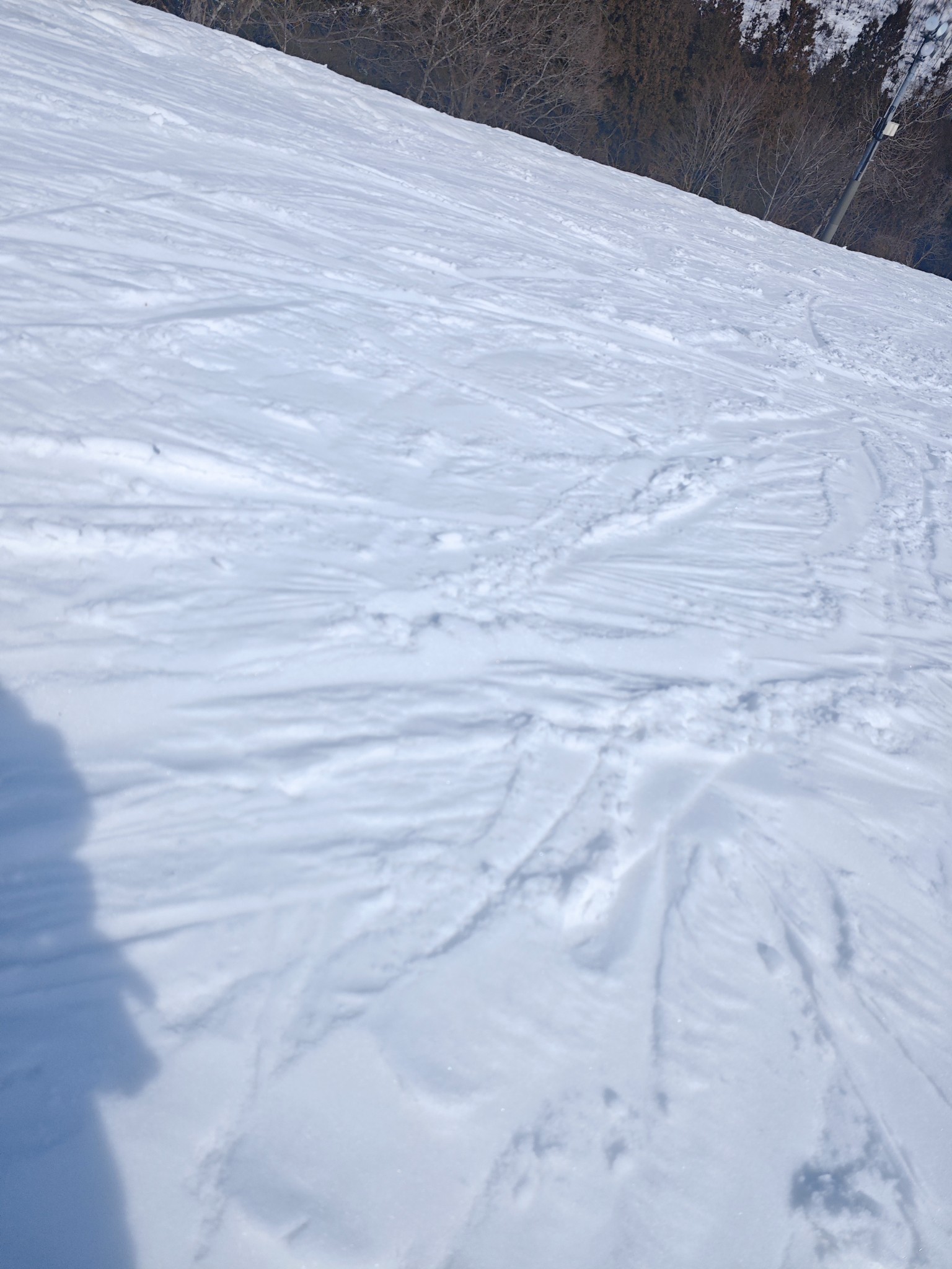 神立スノーリゾート