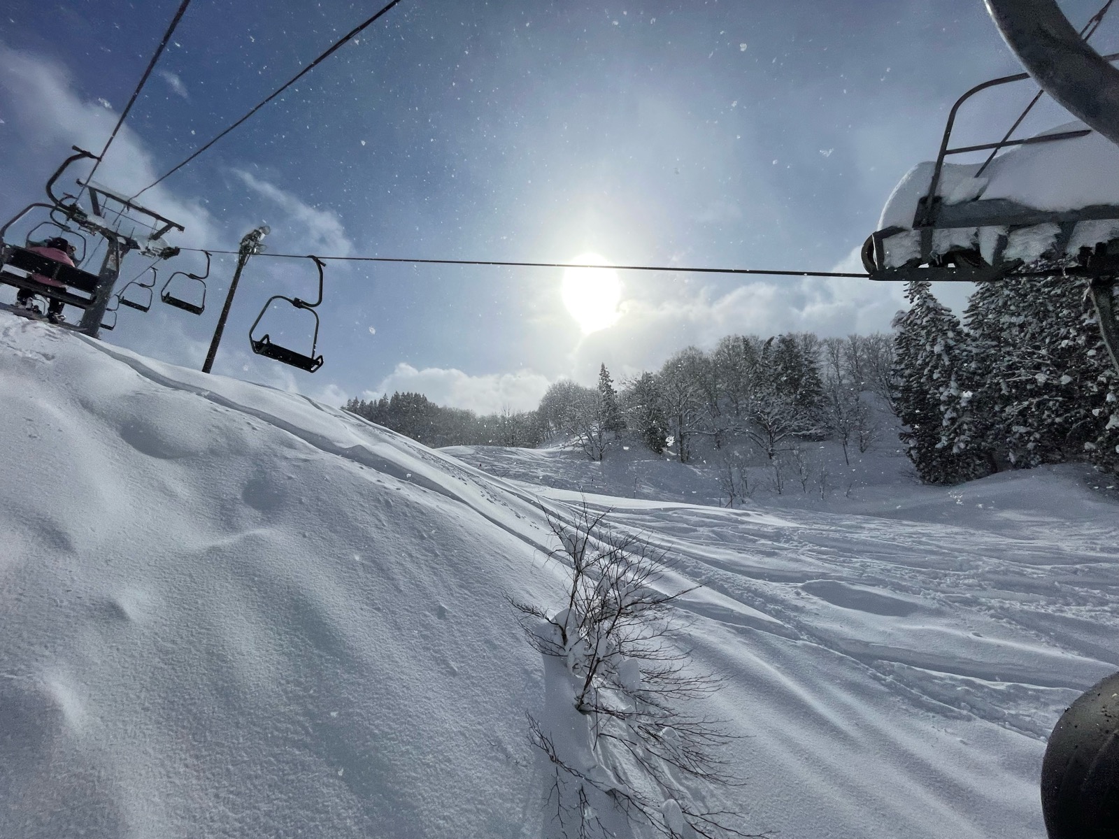 スキー場の写真 : 十日町市 まつだいファミリースキー場 - Snoway