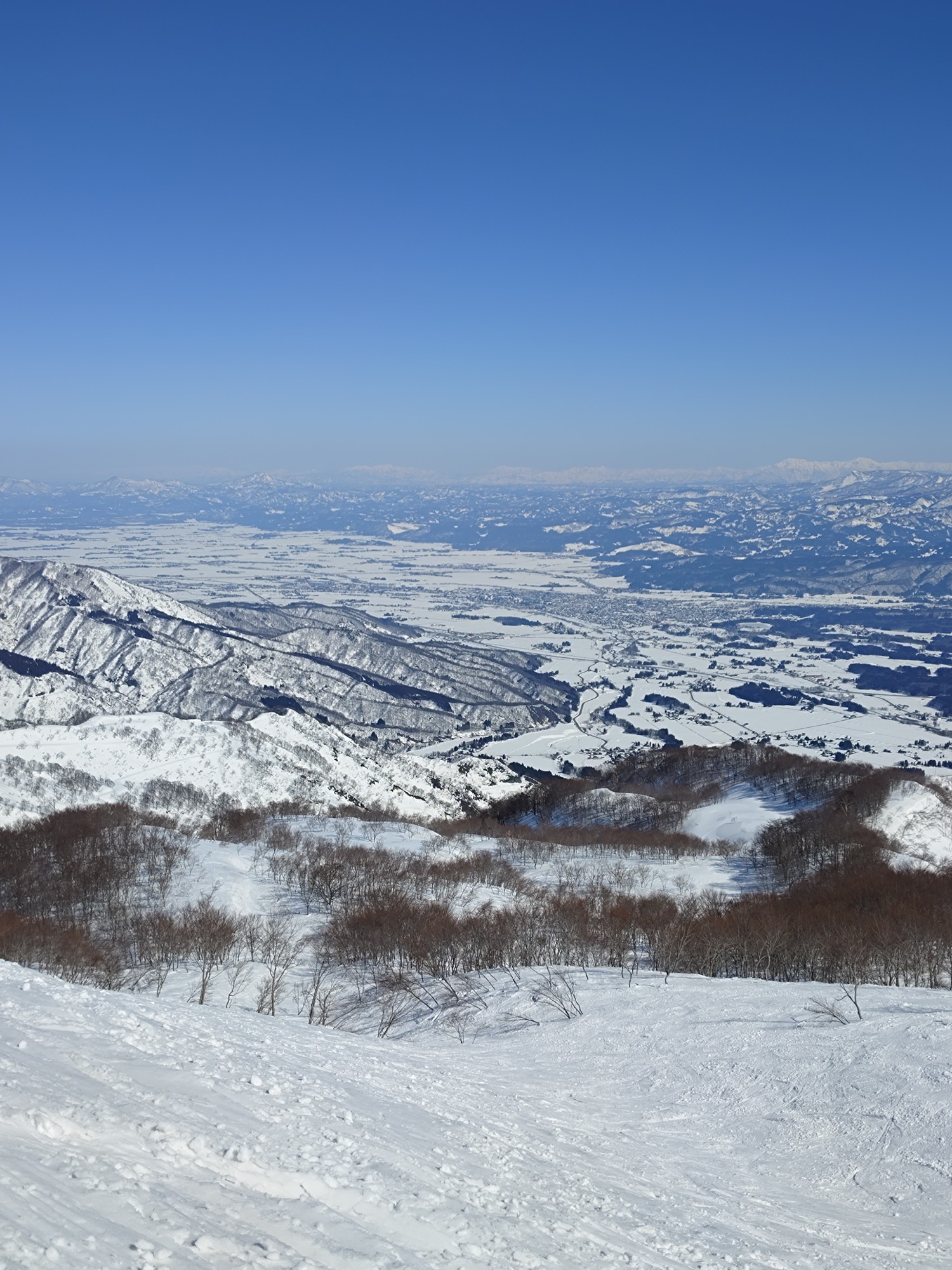ロッテ アライリゾート