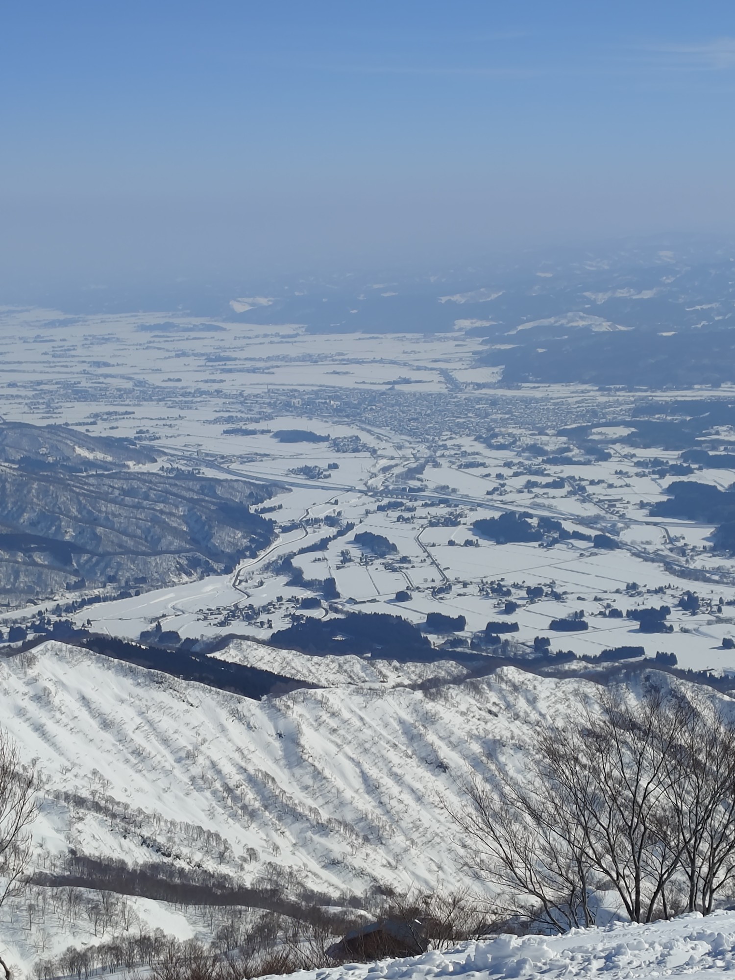 ロッテ アライリゾート