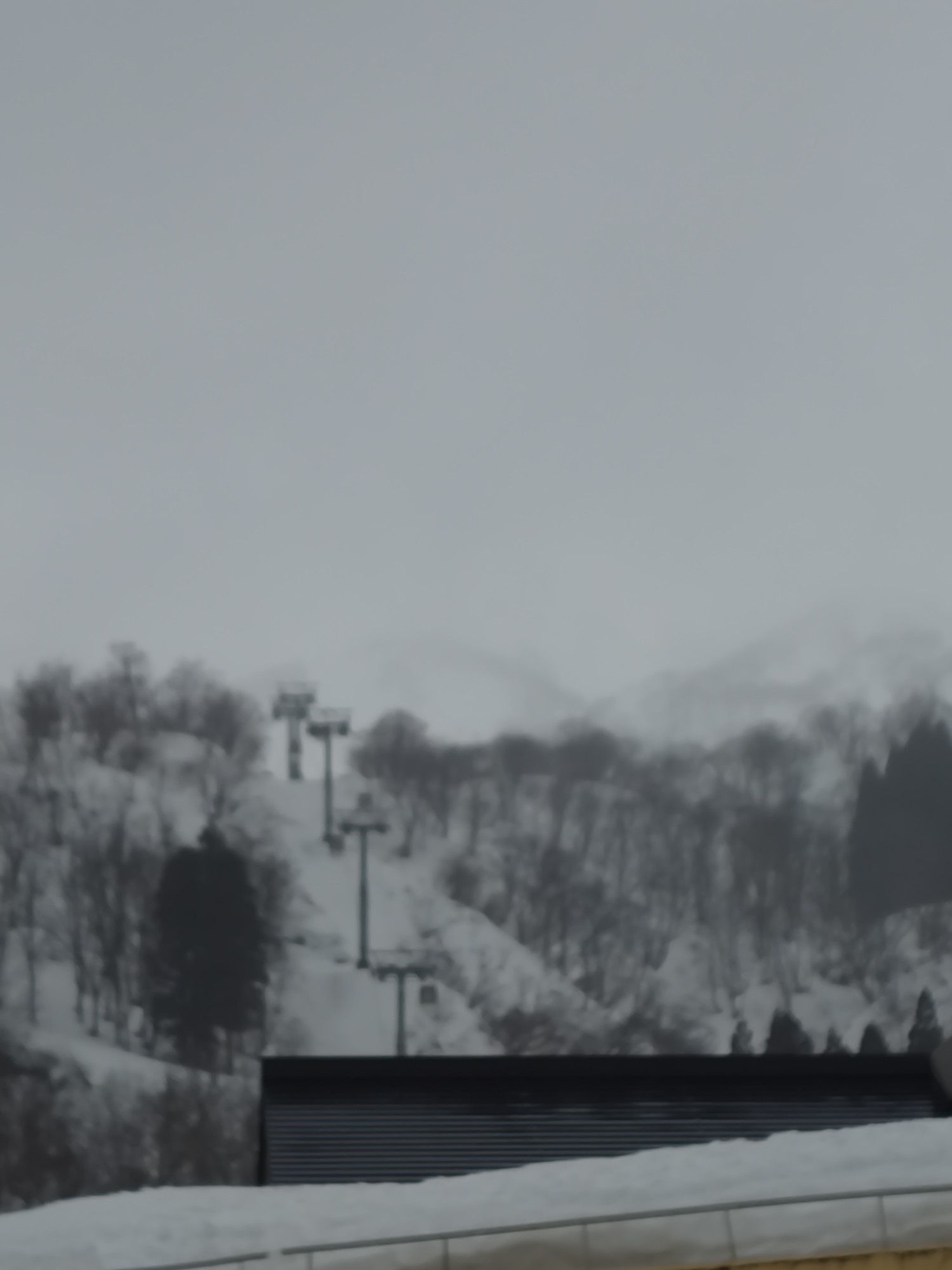 ロッテ アライリゾート