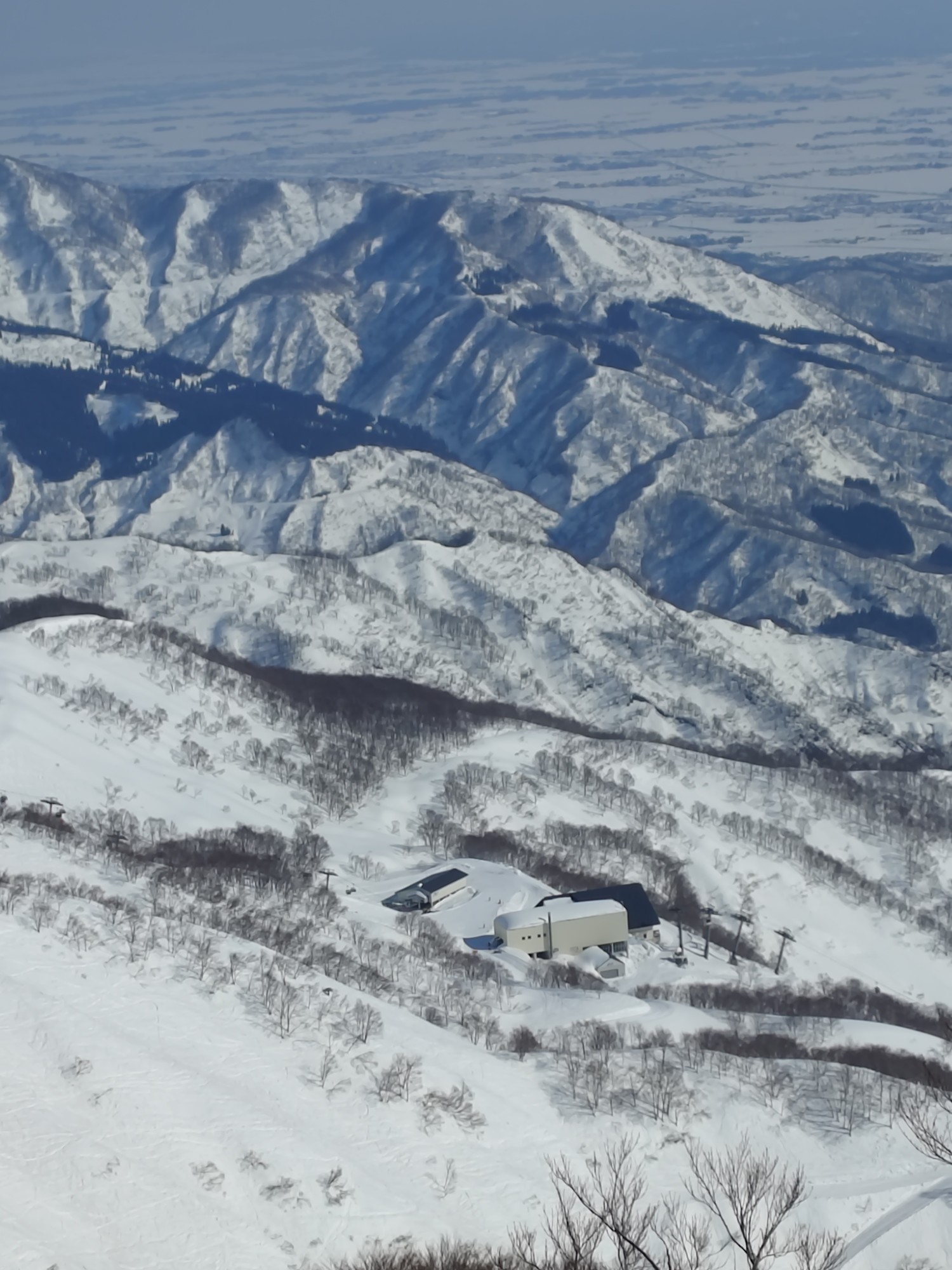 ロッテ アライリゾート