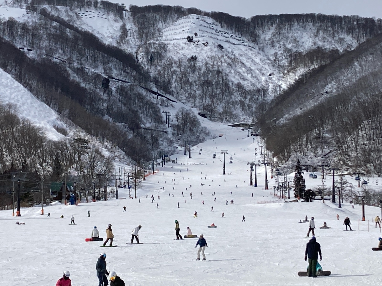 エイブル白馬五竜スキー場