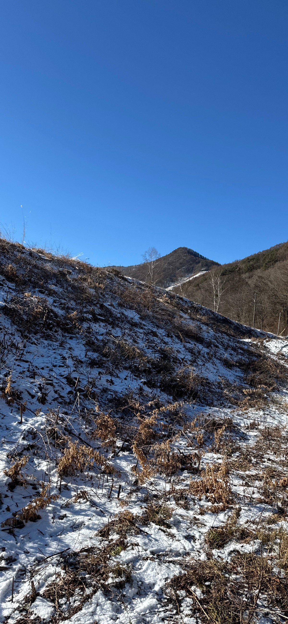 やぶはら高原スキー場