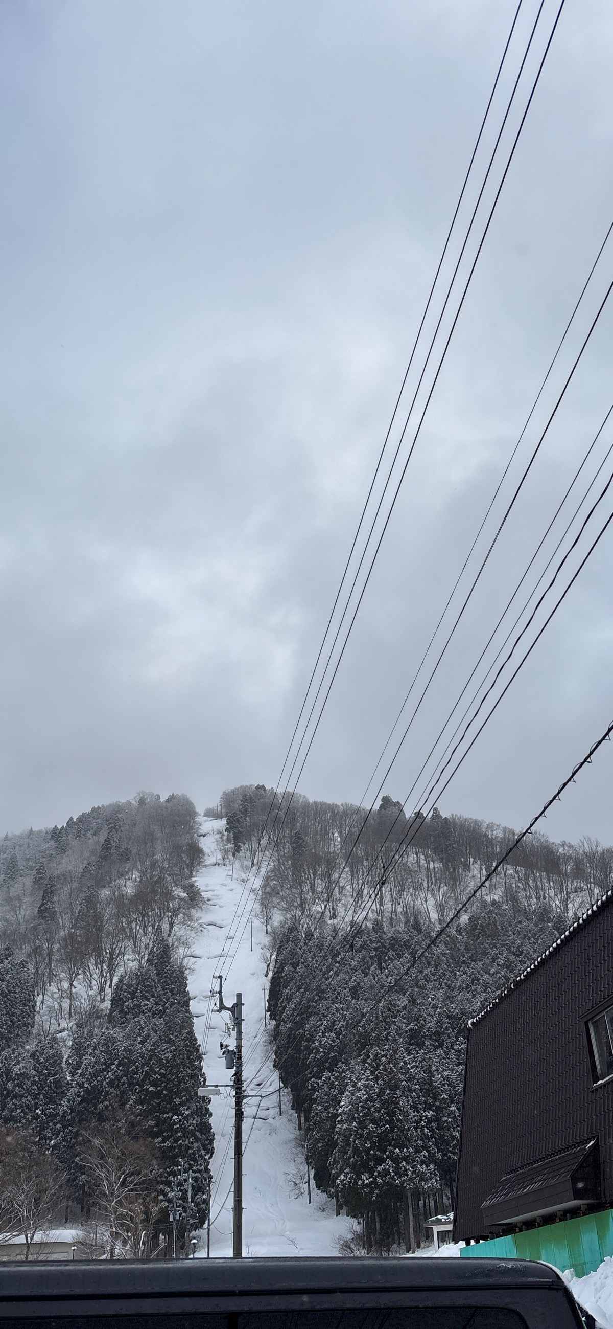 立山山麓らいちょうバレー