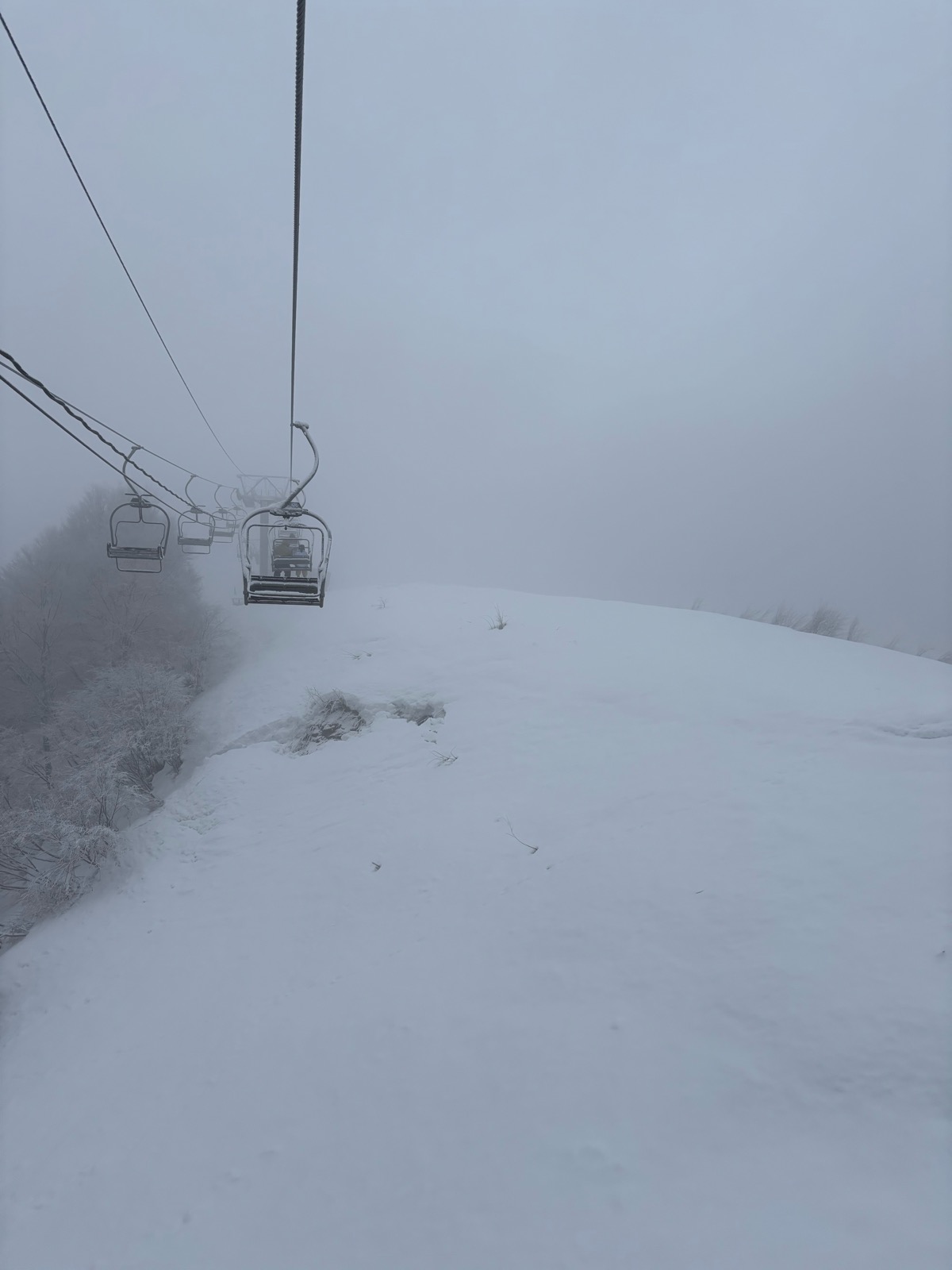 糸魚川シーサイドバレー