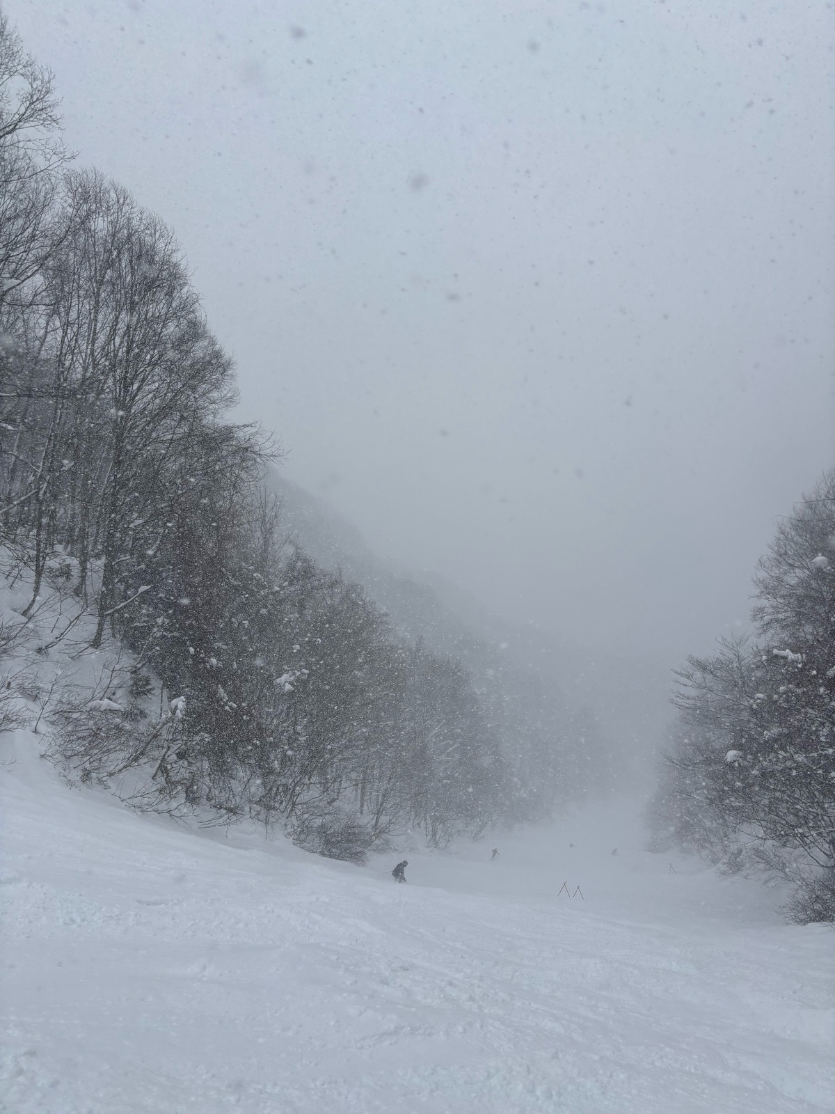 群馬みなかみ ほうだいぎスキー場