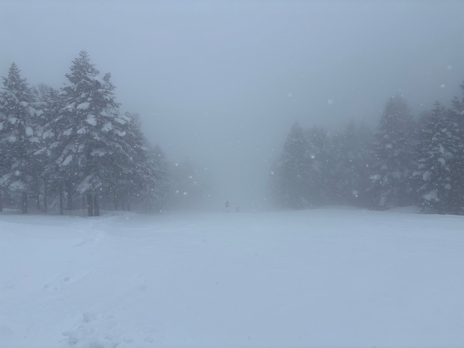 竜王スキーパーク