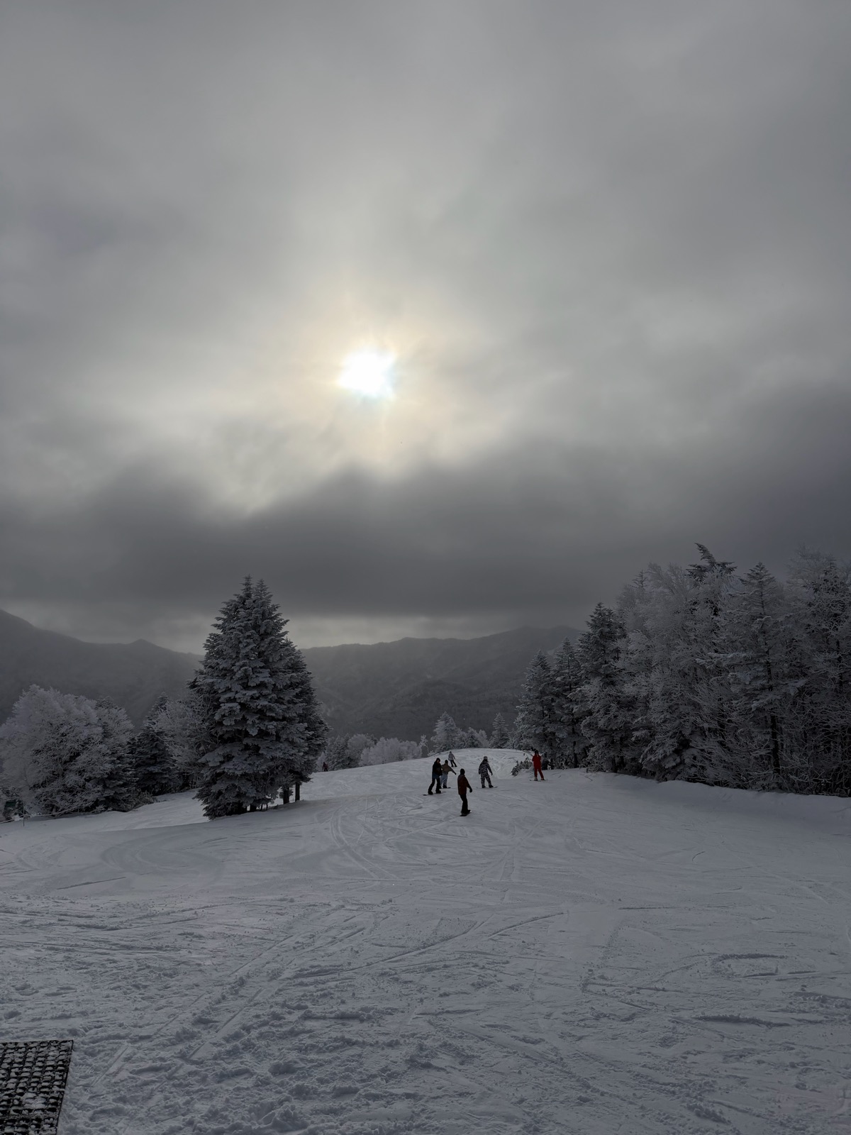 志賀高原 焼額山
