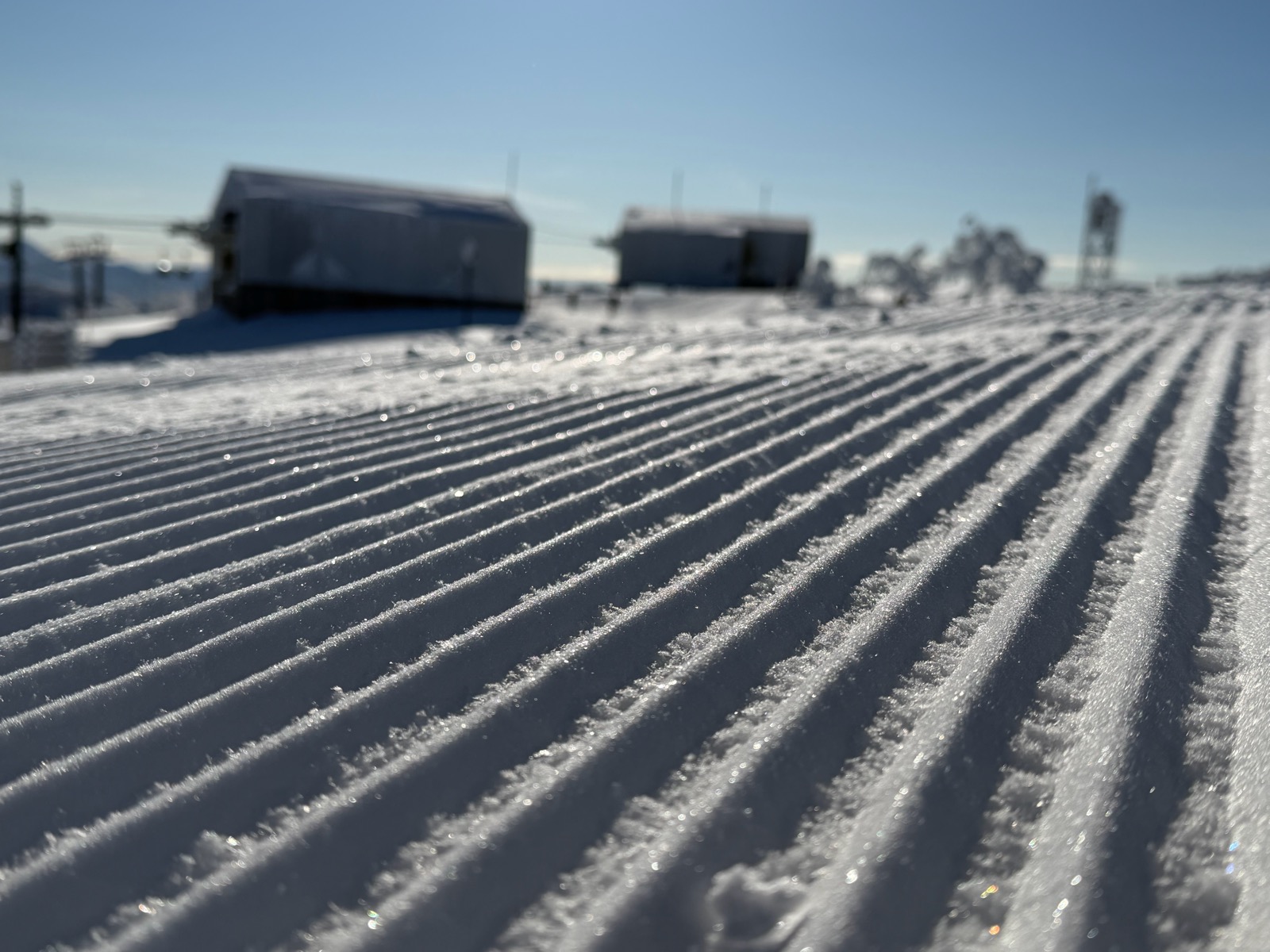 ルスツリゾート