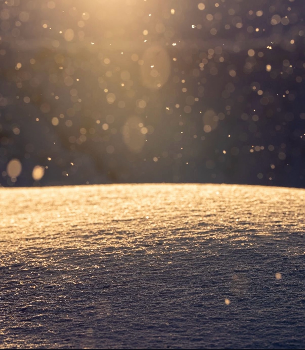 ルスツリゾート