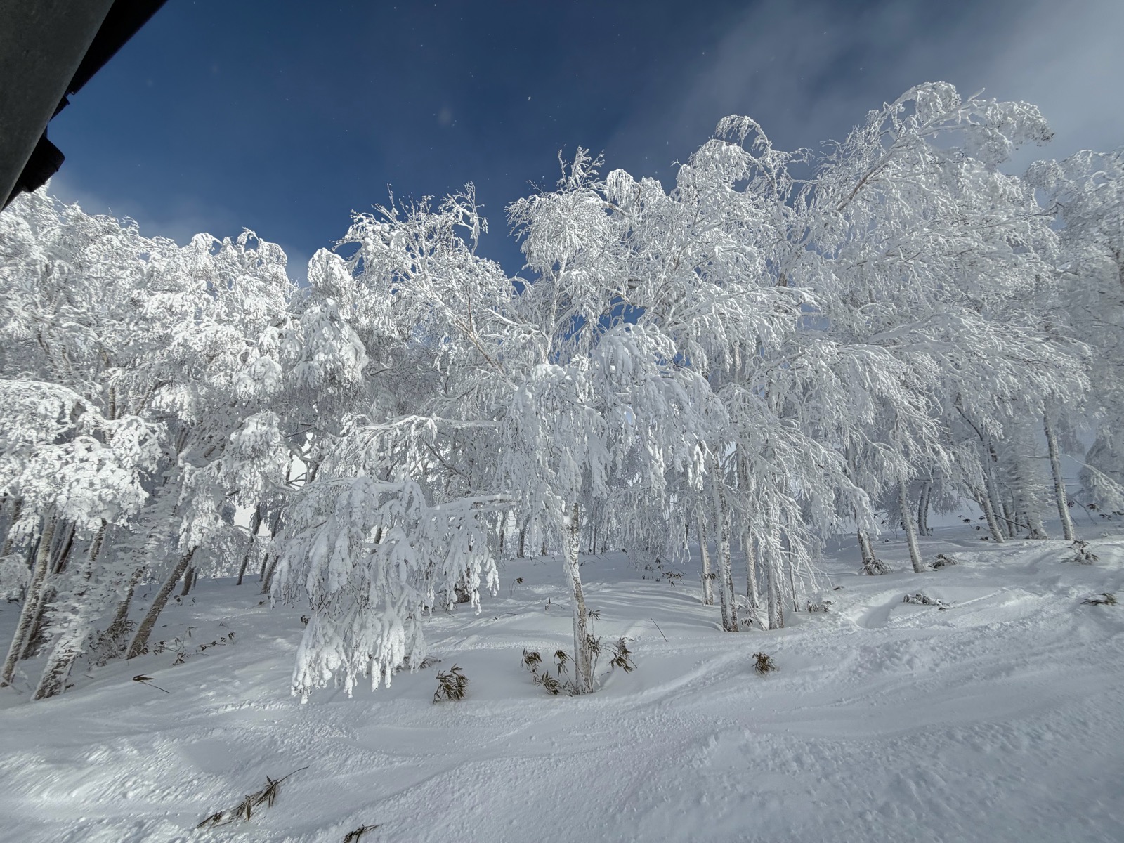 ルスツリゾート