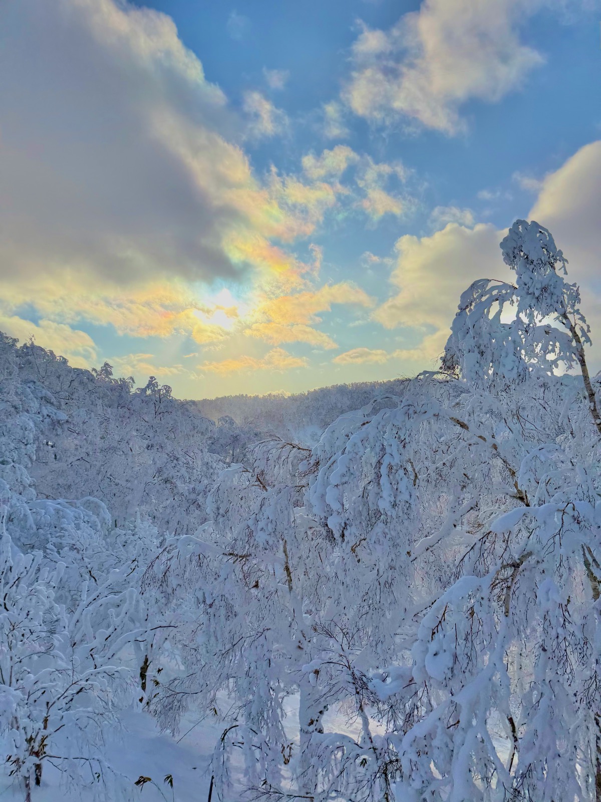 ルスツリゾート