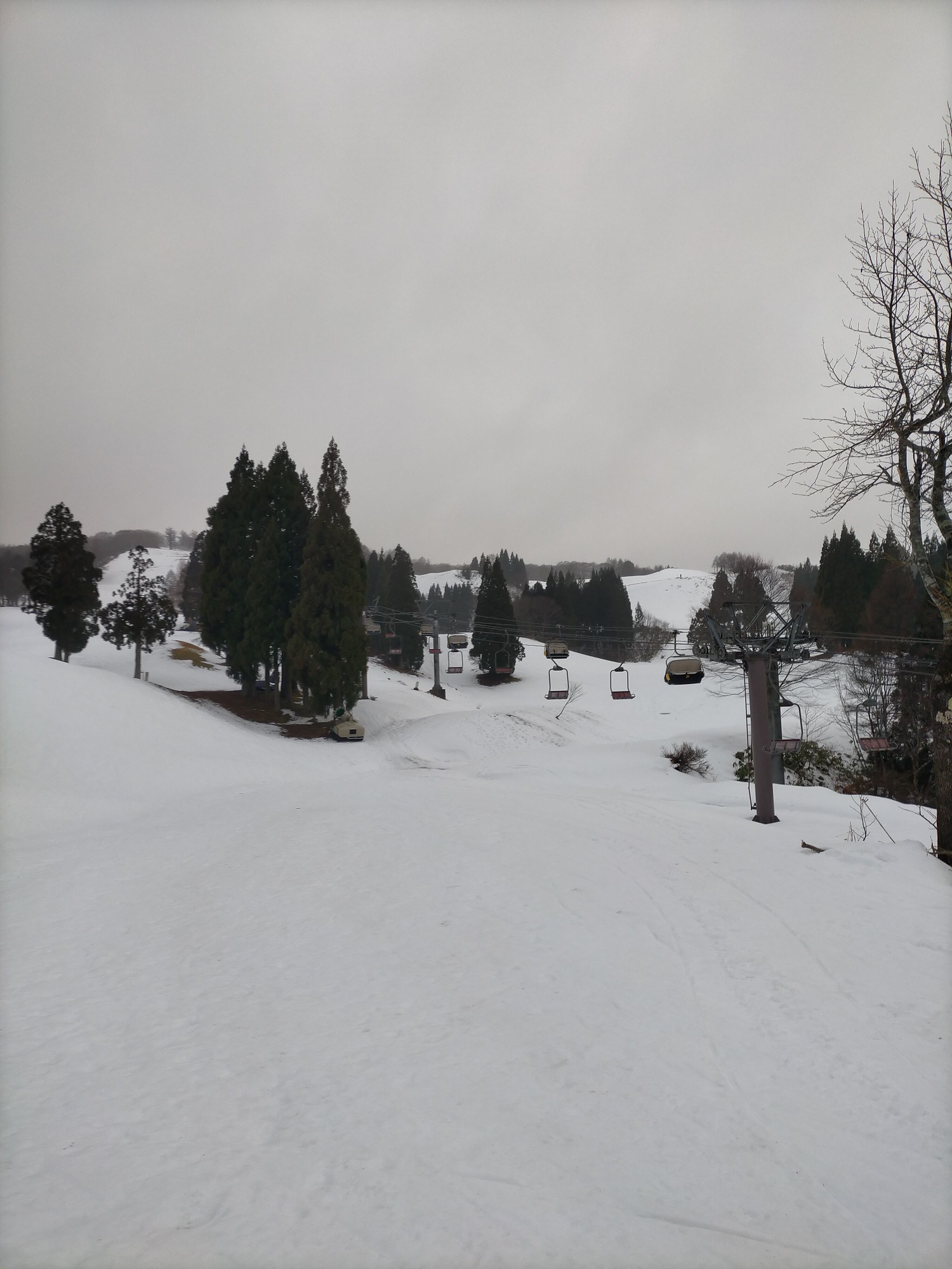 スノーウェーブパーク白鳥高原