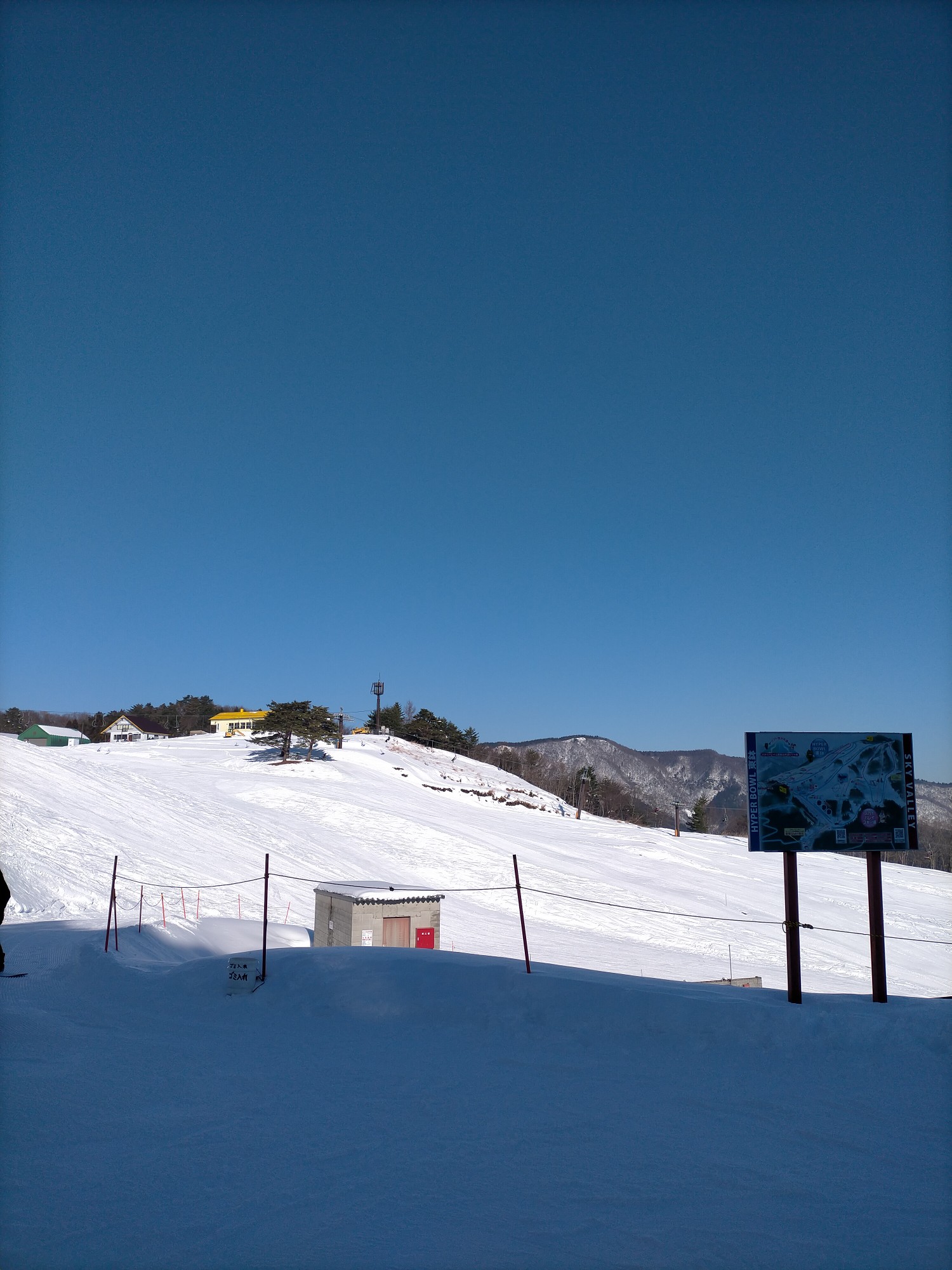 スカイバレイスキー場