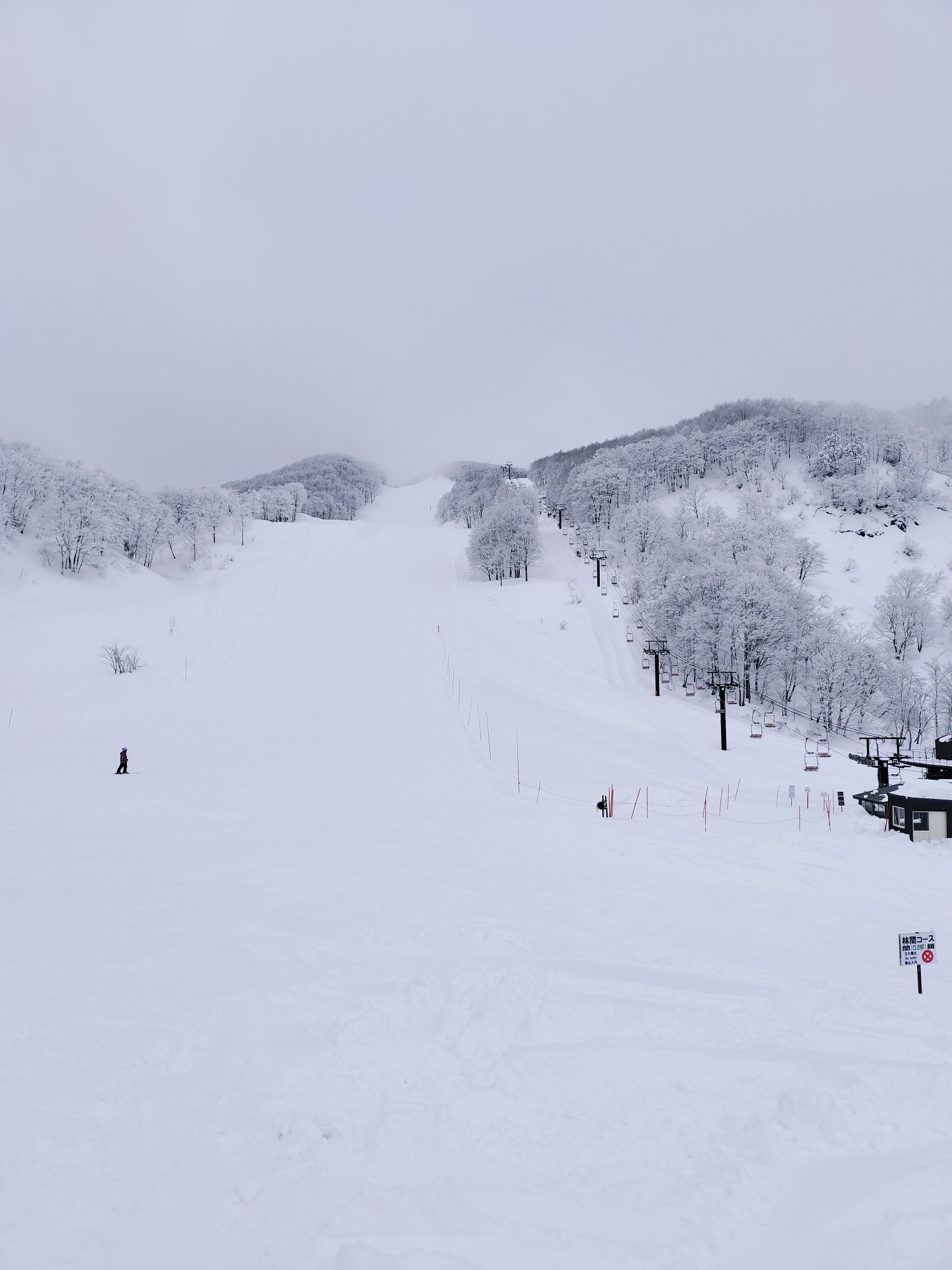 糸魚川シーサイドバレー