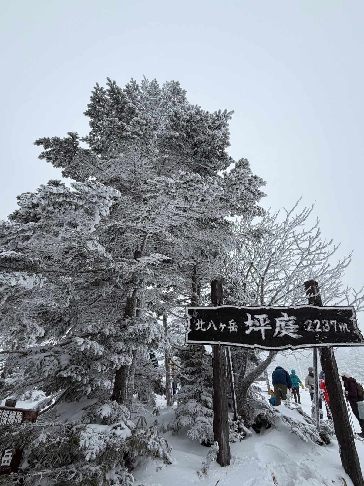 ピラタス蓼科スノーリゾート